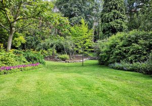 Optimiser l'expérience du jardin à Saint-Aoustrille